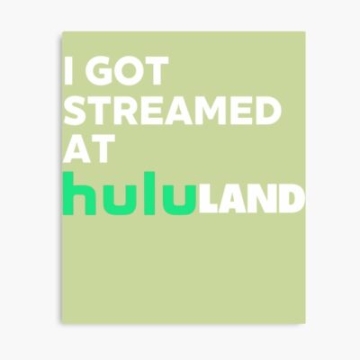 I Got Streamed At Hululand Poster